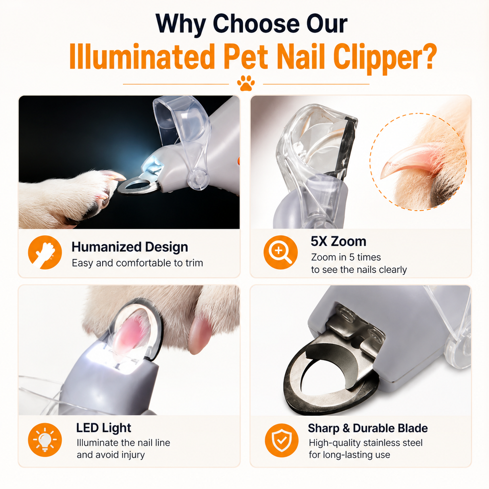 Professional Pet Nail Clipper Scissors With LED Lights
